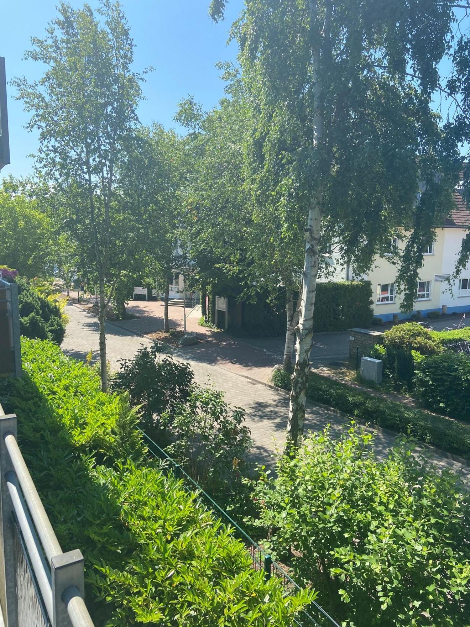 Meeresrauschen - a57320 Ostseeheilbad Ostseeheilbad Zingst Exterior foto